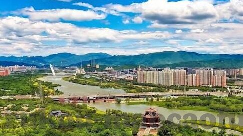 水果机上下分现金兑换-水果机上下分现金兑换，一种娱乐与消费的新模式
